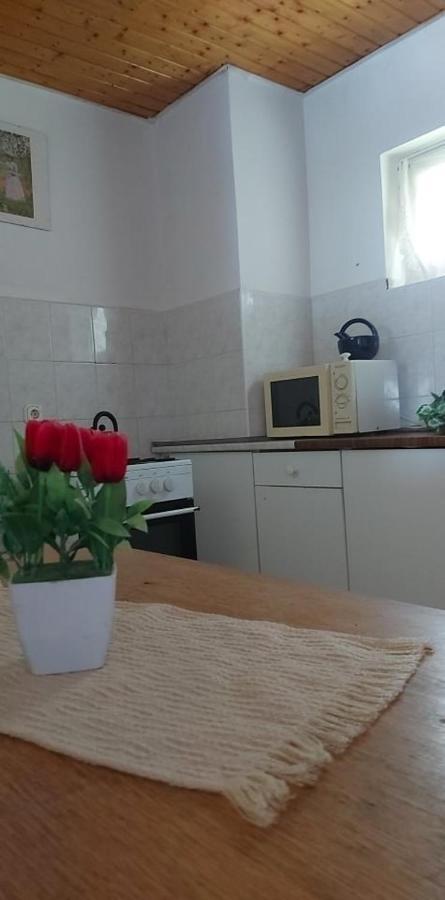Tóra nyíló vendégház badacsonytomaj Exterior foto